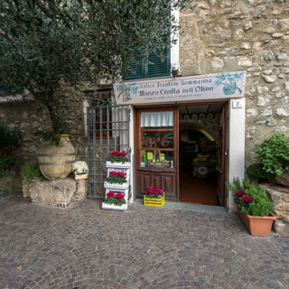 “Imprenditori Albenganesi di ieri e di oggi”, un incontro sull'azienda Sommariva “Imprenditori Albenganesi di ieri e di oggi”, un incontro sull'azienda Sommariva