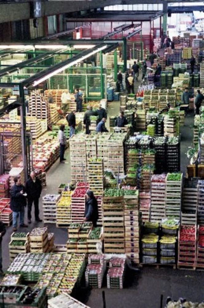 Albenga: tutte le novità dell'Ortofrutticola del Albenga: tutte le novità dell'Ortofrutticola del