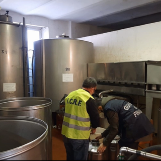 Operazione &quot;Verum et oleum&quot;: oltre 2,3 milioni di litri irregolari di olio extra vergine d'oliva, controlli anche in Liguria