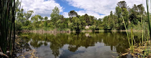 Il WWF presenta a Villanova d'Albenga la sua prima "Oasi" in Liguria Il WWF presenta a Villanova d'Albenga la sua prima "Oasi" in Liguria