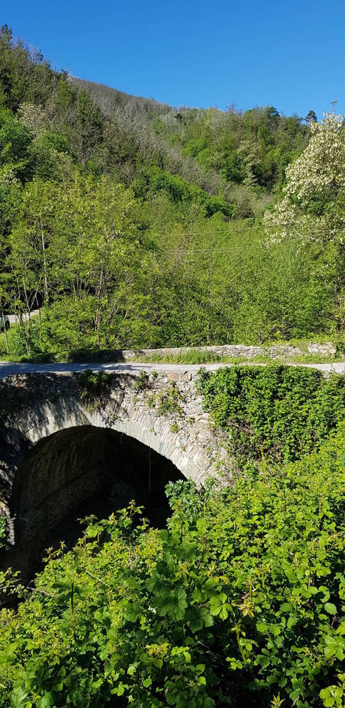 La denuncia dei Verdi: "I ponti Romani della via Aemilia Scauri tra Quiliano e Altare sono in stato di preoccupante abbandono"