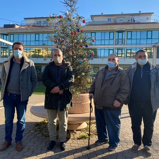 Albenga, al parco Peter Pan arriva l’albero di Natale: è un dono del gruppo dei Cittadini Stanchi e Panfilo, aka Leone da tastiera