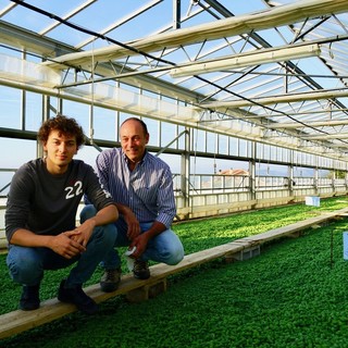 Celle, il Prefetto di Savona visita l'azienda "Calcagno Paolo società Agricola"