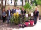 Albenga: "Quella pianta nel centro storico", nuova iniziativa