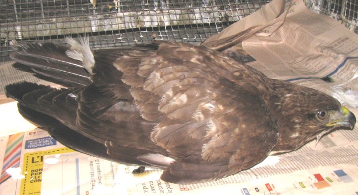 Immagine di repertorio