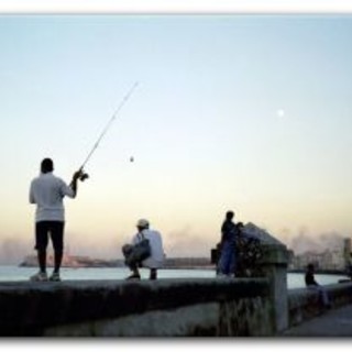 Pesca alla traina e regate d'altura in Riviera