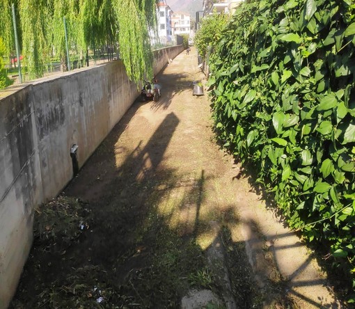 Ceriale: iniziati i lavori di pulizia e messa in sicurezza di torrenti, corsi d’acqua, canali e condotte Ceriale: iniziati i lavori di pulizia e messa in sicurezza di torrenti, corsi d’acqua, canali e condotte