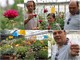 Sanremo: da decorazione a portata principale nel nome di Libereso Guglielmi, al CREA sbocciano i fiori eduli con il progetto Antea (FOTO e VIDEO)