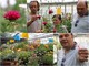 Sanremo: da decorazione a portata principale nel nome di Libereso Guglielmi, al CREA sbocciano i fiori eduli con il progetto Antea (FOTO e VIDEO)