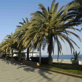 Raccolta differenziata con l'Ecostop a Finale: i complimenti di un cittadino