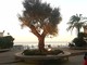 In arrivo ad Alassio un fine settimana ricco di eventi tra cultura, musica, arte e benessere In arrivo ad Alassio un fine settimana ricco di eventi tra cultura, musica, arte e benessere