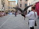 Un sabato spettacolare al Palio dei Rioni di Albenga: la FOTOGALLERY Un sabato spettacolare al Palio dei Rioni di Albenga: la FOTOGALLERY