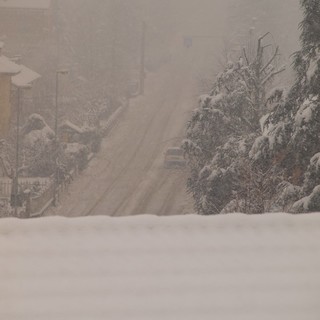 Finale: maltempo, albero cade sulla strada del Melogno