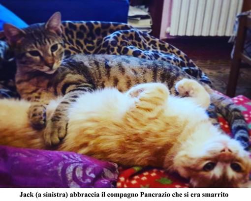 Foto Silvio Fasano Foto Silvio Fasano