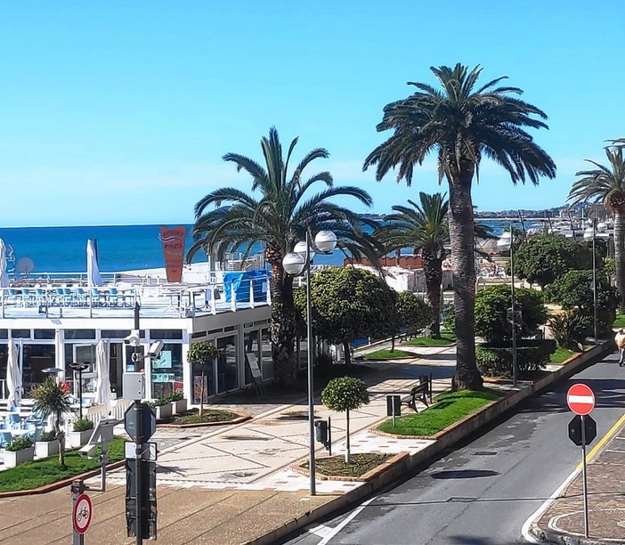 Ceriale dichiara guerra al punteruolo rosso: prima applicazione nazionale del nuovo trattamento fitosanitario