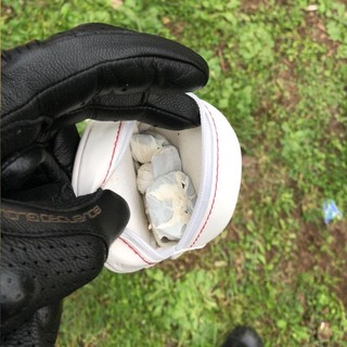 Loano, la polizia municipale in prima linea contro lo spaccio: in arrivo anche un'unità cinofila Loano, la polizia municipale in prima linea contro lo spaccio: in arrivo anche un'unità cinofila