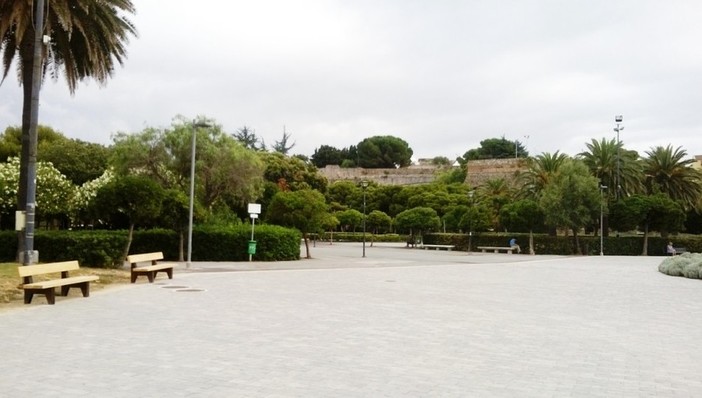 Un ulivo per ricordare i savonesi deceduti per il Covid, il sindaco Caprioglio: "Al lavoro per uno spazio nei giardini del Prolungamento" Un ulivo per ricordare i savonesi deceduti per il Covid, il sindaco Caprioglio: "Al lavoro per uno spazio nei giardini del Prolungamento"