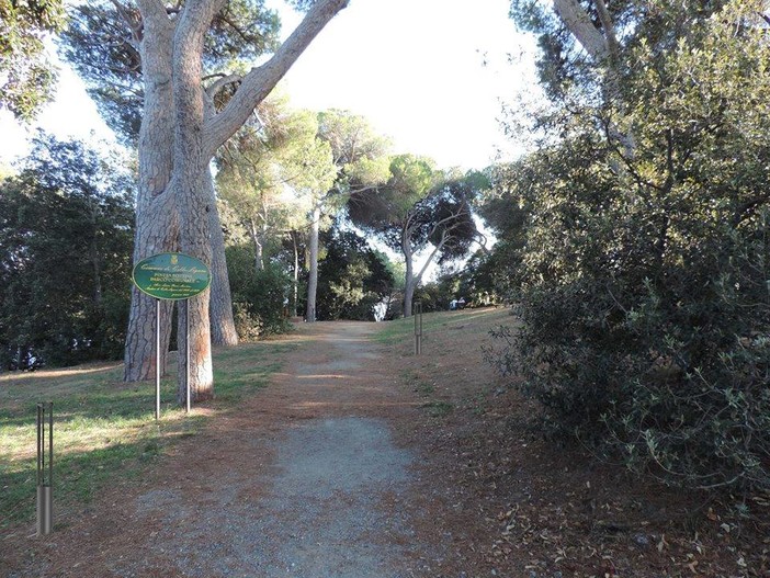 Celle, tutti gli eventi della settimana