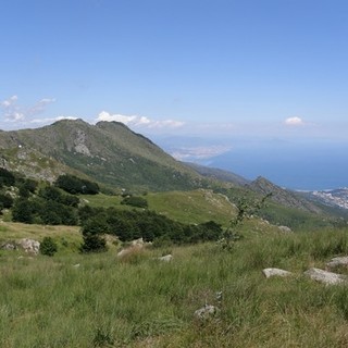 Ddl aree protette, Borghi: "Con approvazione riforma parchi la tutela ambientale diventa perno per sviluppo sostenibile"