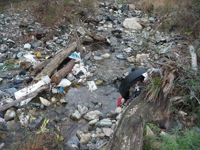 Le Guardie WWF e FIPSAS proseguono l'attività di controllo sul territorio savonese: rifiuti nel rio Arenon a Varazze Le Guardie WWF e FIPSAS proseguono l'attività di controllo sul territorio savonese: rifiuti nel rio Arenon a Varazze