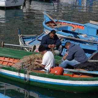 Pesca del novellame di sardina, Piana: &quot;Nuove possibilità per le marinerie liguri, a Bruxelles le istanze di riapertura&quot;