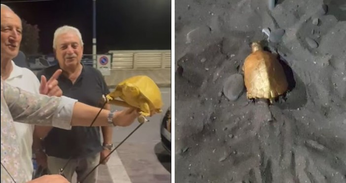 Tartaruga d’oro depone le uova ad Albenga: quasi 2 milioni di visualizzazioni per il video-beffa dei Fieui di caruggi