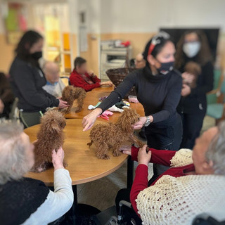 Loano, alla Rp Ramella torna la pet-therapy col progetto "Una zampa per ricordare"