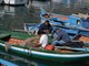 Pesca del novellame di sardina, Piana: &quot;Nuove possibilità per le marinerie liguri, a Bruxelles le istanze di riapertura&quot;