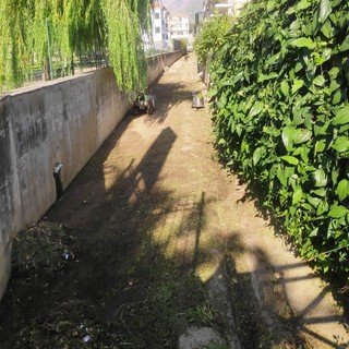 Ceriale: iniziati i lavori di pulizia e messa in sicurezza di torrenti, corsi d’acqua, canali e condotte Ceriale: iniziati i lavori di pulizia e messa in sicurezza di torrenti, corsi d’acqua, canali e condotte