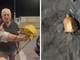 Tartaruga d’oro depone le uova ad Albenga: quasi 2 milioni di visualizzazioni per il video-beffa dei Fieui di caruggi