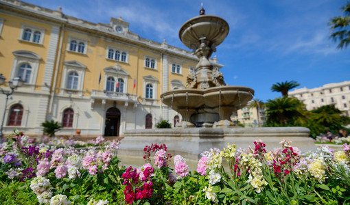 Foto Emerspn Fortunato