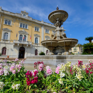 Foto Emerspn Fortunato Foto Emerspn Fortunato