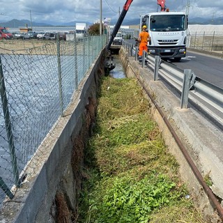 Leca d’Albenga, in Regione Bagnoli pulizia straordinaria del canale