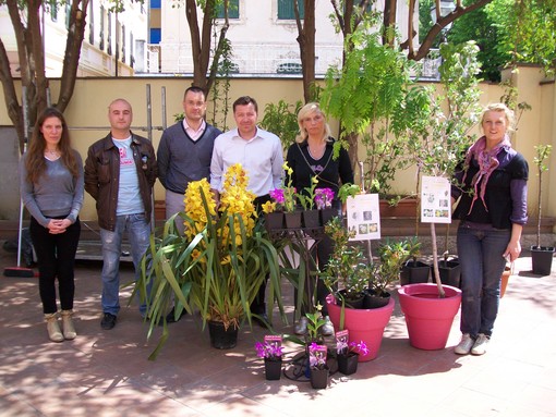 Albenga: "Quella pianta nel centro storico", nuova iniziativa Albenga: "Quella pianta nel centro storico", nuova iniziativa