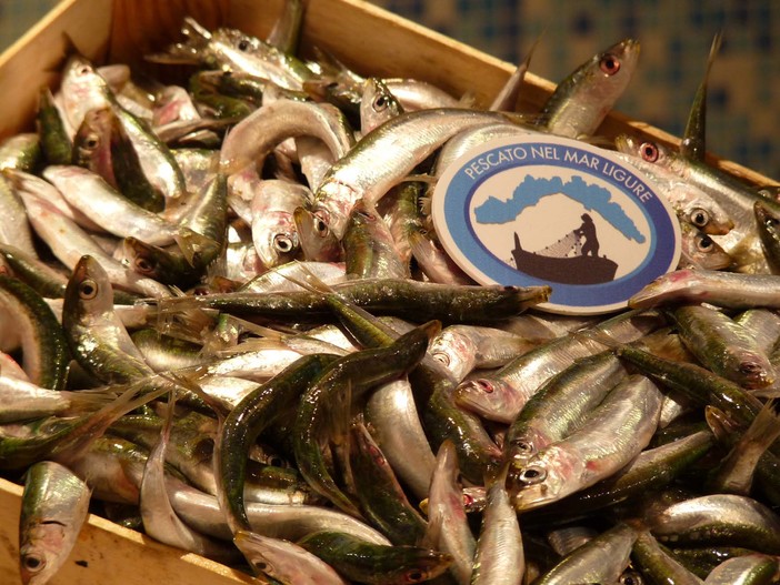 Immagini dell'iniziativa