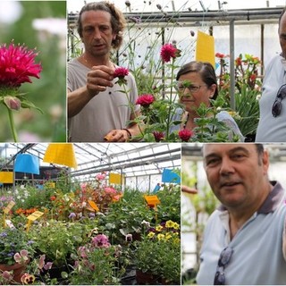 Sanremo: da decorazione a portata principale nel nome di Libereso Guglielmi, al CREA sbocciano i fiori eduli con il progetto Antea (FOTO e VIDEO) Sanremo: da decorazione a portata principale nel nome di Libereso Guglielmi, al CREA sbocciano i fiori eduli con il progetto Antea (FOTO e VIDEO)