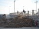 Andora, iniziata la pulizia delle spiagge dal materiale spiaggiato Andora, iniziata la pulizia delle spiagge dal materiale spiaggiato