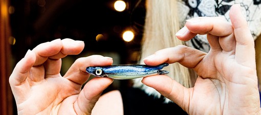 Ad Albissola Marina la quarta edizione del contest gastronomico "Pane, acciughe e ceramica"