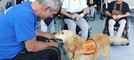 Pet Therapy all’Unità Spinale del Santa Corona: al via il progetto “Fidati della mia Zampa” (FOTO)