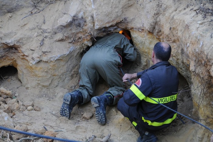 Salvato il cane intrappolato in una buca a Campochiesa d'Albenga (foto) Salvato il cane intrappolato in una buca a Campochiesa d'Albenga (foto)