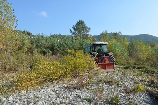 Ad Andora pulizia del torrente Merula: previsti interventi da 140mila euro Ad Andora pulizia del torrente Merula: previsti interventi da 140mila euro