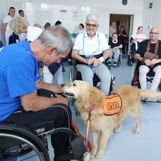 Pet Therapy all’Unità Spinale del Santa Corona: al via il progetto “Fidati della mia Zampa” (FOTO) Pet Therapy all’Unità Spinale del Santa Corona: al via il progetto “Fidati della mia Zampa” (FOTO)