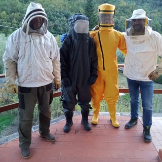 Lotta alla vespa velutina: la Protezione civile di Garlenda è la prima squadra savonese abilitata