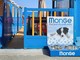 Alassio, un'altra estate sempre più Pet Friendly: anche nel 2026 prosegue la campagna di sensibilizzazione per gli amici a quattro zampe Alassio, un'altra estate sempre più Pet Friendly: anche nel 2026 prosegue la campagna di sensibilizzazione per gli amici a quattro zampe