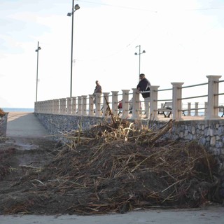 Andora, iniziata la pulizia delle spiagge dal materiale spiaggiato