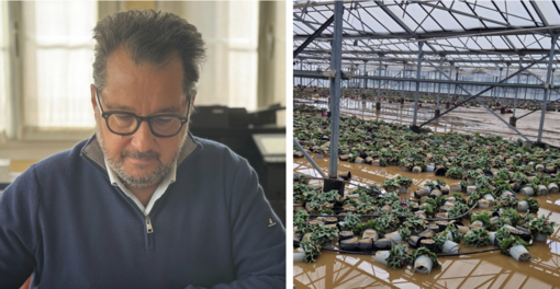 Tavolo verde ad Albenga, Podio: "Dalla minoranza totale collaborazione, le aziende vanno sostenute, sospendere le imposte"