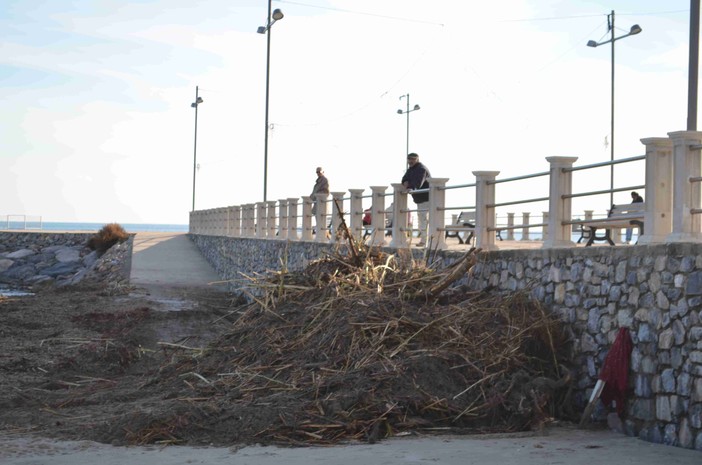 Andora, iniziata la pulizia delle spiagge dal materiale spiaggiato Andora, iniziata la pulizia delle spiagge dal materiale spiaggiato