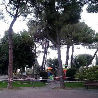 WWF al sindaco di Alassio: "Chiediamo incontro per riforestazione"
