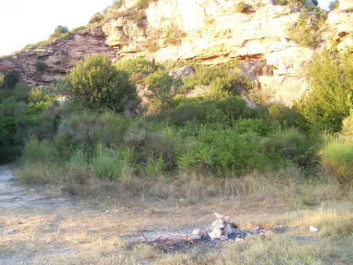 Rave party e danni al territorio: le preoccupazioni e le denunce del WWF Rave party e danni al territorio: le preoccupazioni e le denunce del WWF