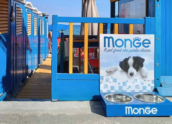 Alassio, un'altra estate sempre più Pet Friendly: anche nel 2026 prosegue la campagna di sensibilizzazione per gli amici a quattro zampe Alassio, un'altra estate sempre più Pet Friendly: anche nel 2026 prosegue la campagna di sensibilizzazione per gli amici a quattro zampe